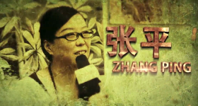 张平 一花一世界