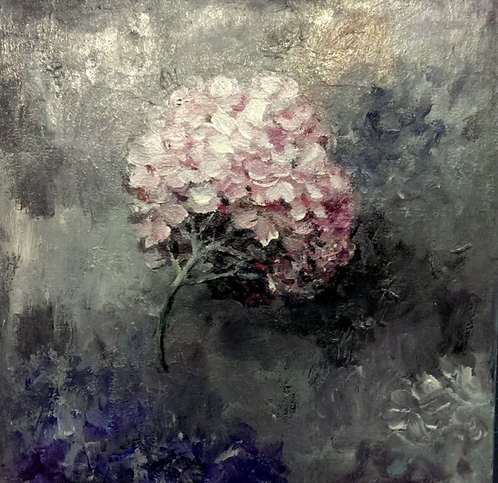 粉红绣球花
